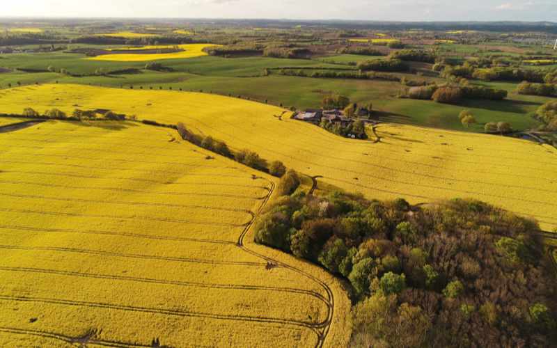 欢迎使用 Typecho